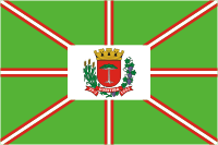Curitiba (Brazil), flag - vector image