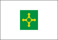 Федеральный округ (Бразилия), флаг - векторное изображение