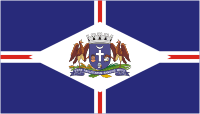 Гуарульюс (Бразилия), флаг - векторное изображение