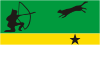 Amazonas (department in Colombia), flag - vector image