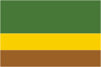 Choco (department in Colombia), flag - vector image