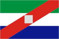 Гуавиаре (департамент Колумбии), флаг