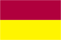 Tolima (department in Colombia), flag - vector image