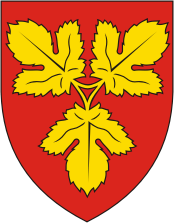 Fyns (amt in Denmark), former coat of arms - vector image
