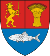 Dolj (judet in Romania), coat of arms - vector image