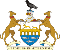 Clonmel (Ireland), coat of arms - vector image