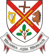 Kildare county (Ireland), coat of arms