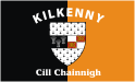 Килкенни (Ирландия), флаг (ГАА)