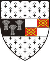 Kilkenny county (Ireland), coat of arms - vector image