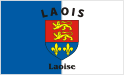 Laois (Ireland), GAA flag