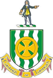 Limerick county (Ireland), coat of arms - vector image
