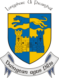 Longford county (Ireland), coat of arms - vector image