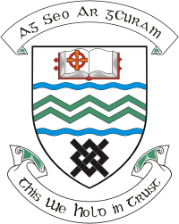 South Dublin county (Ireland), coat of arms - vector image