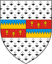 Tipperary county (Ireland), coat of arms - vector image