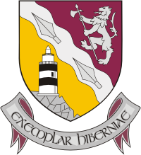 Wexford county (Ireland), coat of arms - vector image