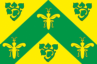 Starye Chukaly (Chuvashia), flag