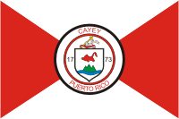 Cayey (Puerto Rico), flag - vector image