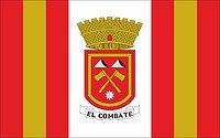 El Combate (Puerto Rico), flag