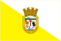 Хуана-Диас (Пуэрто-Рико), флаг - векторное изображение