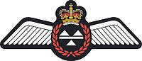 Vector clipart: Royal Canadian Air Force (RCAF) Loadmaster, badge