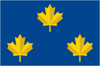 Canadian Navy, semi-official Vice Admiral flag