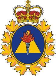 Canadian Forces Training Development, branch badge (insignia)