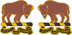 U.S. Army 10th Cavalry Regiment, distinctive unit insignia (left/right)