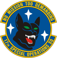 air force special forces logo