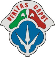 Вооруженные силы США, эмблема 88-го регионального командования сил поддержки - векторное изображение