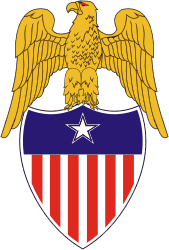 U.S. Armed Forces, insignia of Aide to Brigadier General - vector image