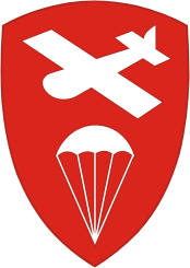 Вооруженные силы США, нарукавный знак (нашивка) бывшего командования воздушного десанта