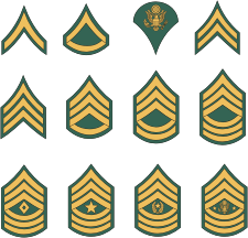Vector clipart: U.S. Army, enlisted rank insignia
