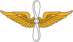 Вооруженные силы США, эмблема авиационных частей сухопутных войск - векторное изображение