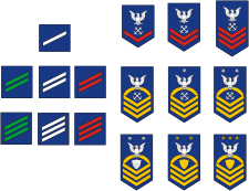 U.S. Coast Guard, enlisted rank insignia - vector image