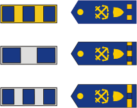 U.S. Coast Guard, warrant officer rank insignia - vector image