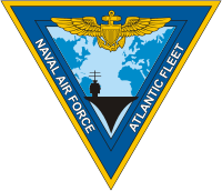 Vector clipart: U.S. Naval Air Force Atlantic Fleet, insignia (emblem)