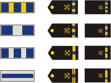 Военно-морские силы США, знаки различия мичманов (уоррент-офицеров) - векторное изображение