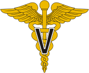 army med service insignia