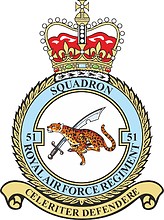 British 51st Squadron RAF Regiment, badge