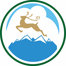 Soloneshnoe rayon (Altai krai), former emblem