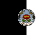Флаг провинции Патум-Тхани