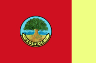 Флаг провинции Прачин-Бури