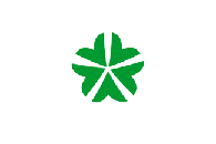 Флаг города Тэджон