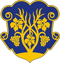 Vector clipart: Uzhgorod (Uzhhorod, Zakarpatye oblast), coat of arms (#2)