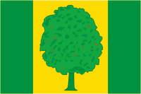 Parkovyi (Krasnodar krai), flag - vector image