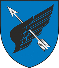 Lithuanian Air Force Air Defense Battalion, former embem - vector image