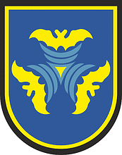 Litauisches Luftraumüberwachungs- und Kontrollkommando, ehemaliges Emblem