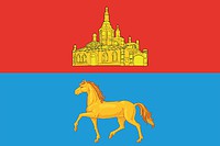 Minusinsk (Krasnoyarsk krai), proposed flag (2020)