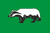 Vector clipart: Shenkursk rayon (Arkhangelsk oblast), flag