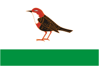 Birsk (Bashkortostan), flag - vector image